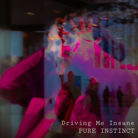 Driving Me Insane