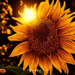 Morning Grace