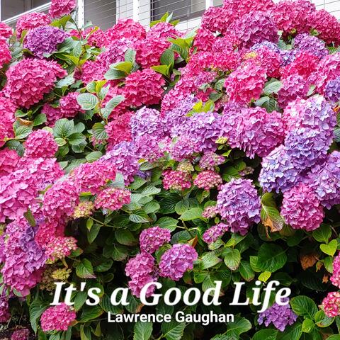 It's a Good Life