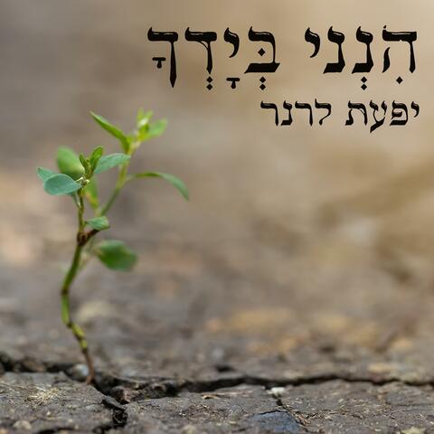 הנני בידך