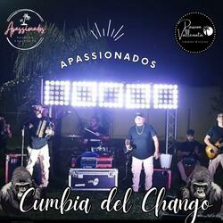 CUMBIA DEL CHANGO-PASSION VALLENATA (APASSIONADOS)