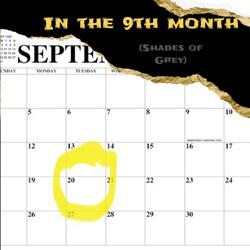 In the 9th Month (Shades of Grey)