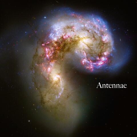 Antennae