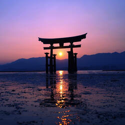 MOONLIGHT SONATA DARK TRANCE (ETC)