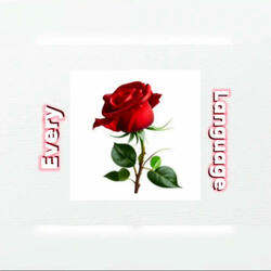 Every Language (feat. ay3demi)