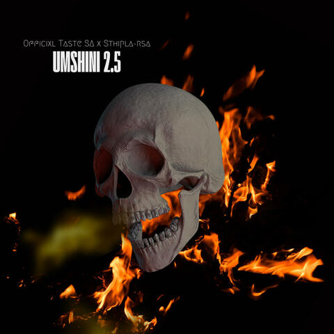 UMSHINI 2.5 (feat. Sthipla rsa)