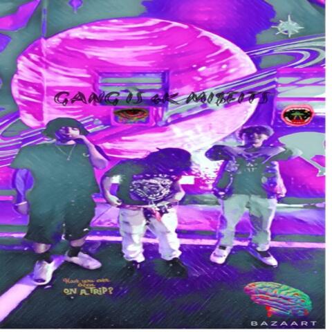 GANG IS 4K MI$fITS