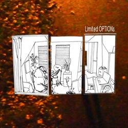 Limited OPTIONs