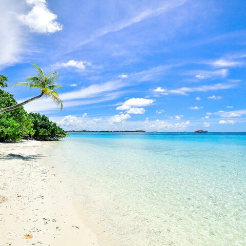Golden Beach