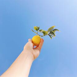 LEMONS