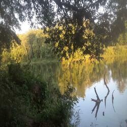 Downstream