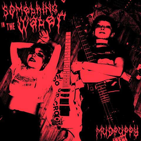 Something In The Water