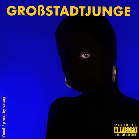 Großstadtjunge (feat. veisap)
