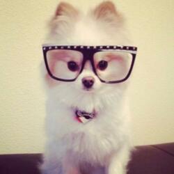 like 2 (feat. lor2mg)