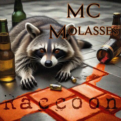 Raccoon