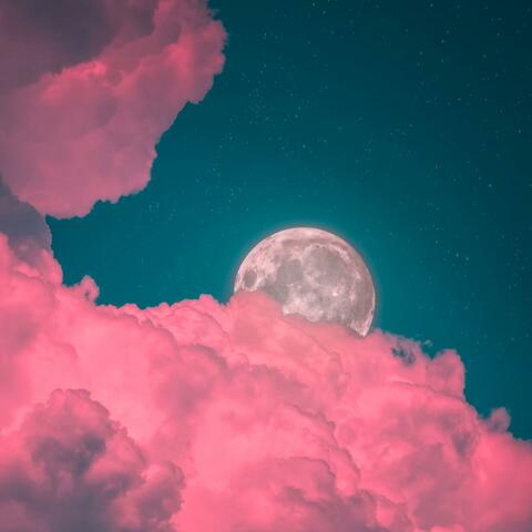Dream Capsule