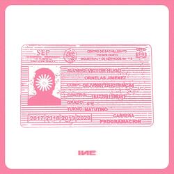 INE (feat. Willie Mireles)