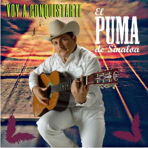 Voy A Conquistarte
