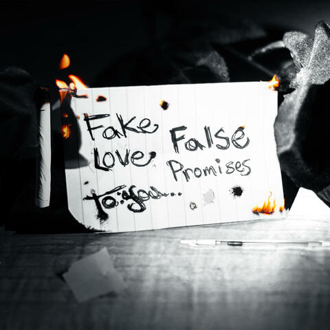 Fake Love/False Promises