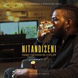 Nitandizeni (feat. IMS zm)