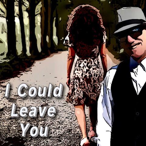 I Could Leave You