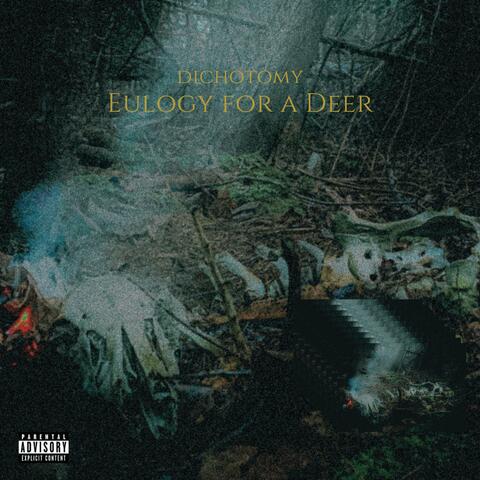 Eulogy for a Deer