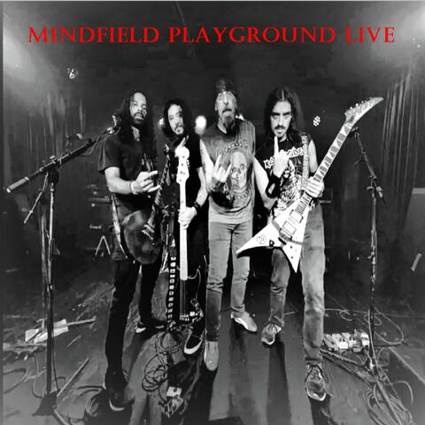 Mindfield Playground Live