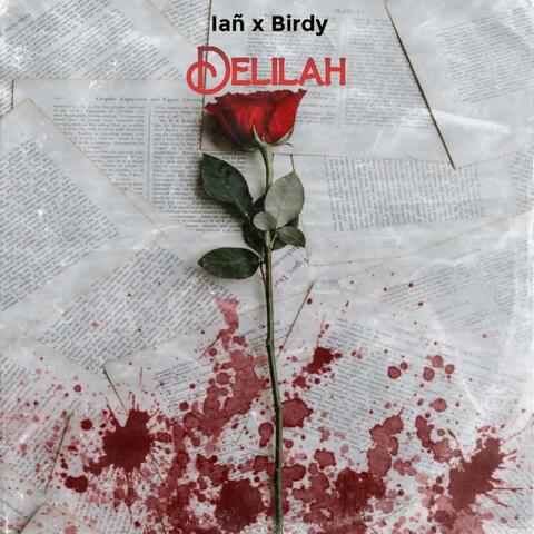 Delilah (feat. Birdyiam)
