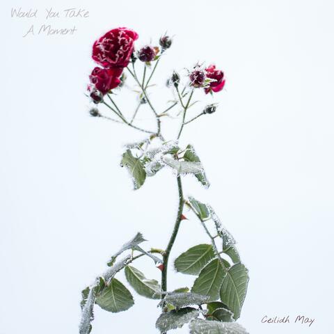 Would You Take A Moment