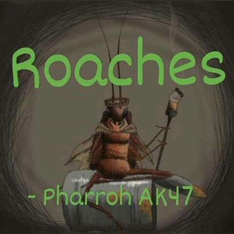 Roaches
