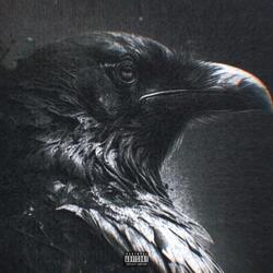 Not This Time Around