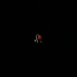 bounce #jerseyclub (feat. GavinTheProducer)