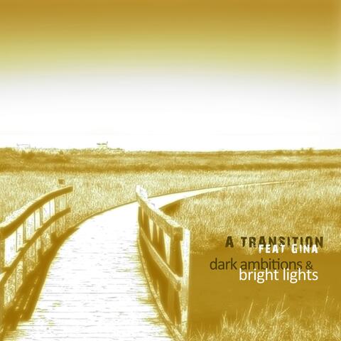 Dark Ambitions & Bright Lights (feat. Gina S.)