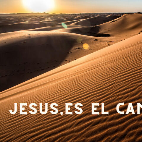 //divino companero del camino///