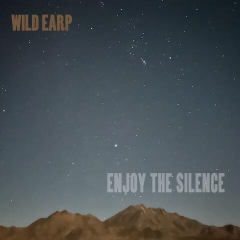 Enjoy the Silence