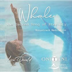 Whale The Sacred Song Of Eternity