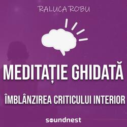 Imbalnzirea criticului interior (meditatie ghidata)