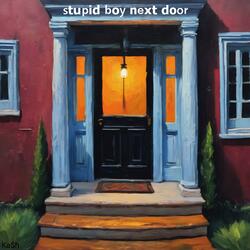 stupid boy next door