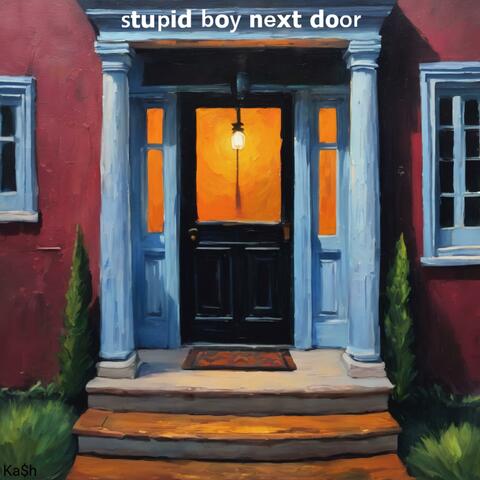 stupid boy next door