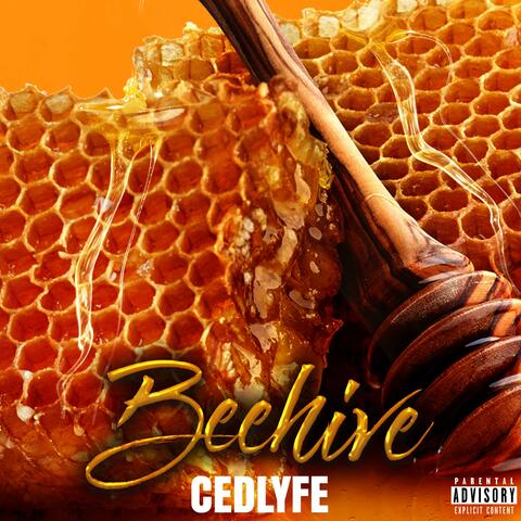Beehive