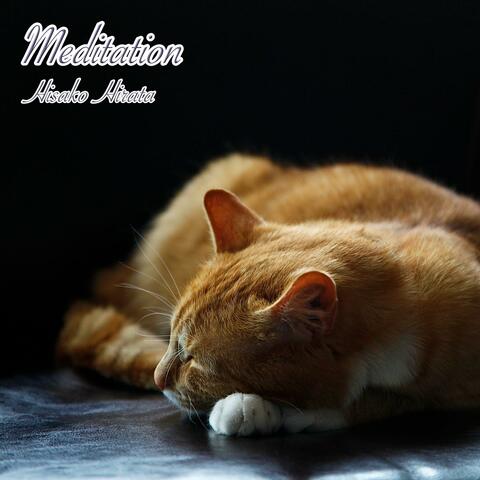 Meditation (feat. Sissonne Music)