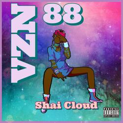 VZN 88