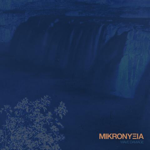 Mikronyxia