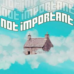 Not Important