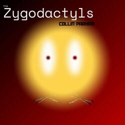The Zygodactylus
