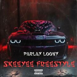SKEEYEE FREESTYLE