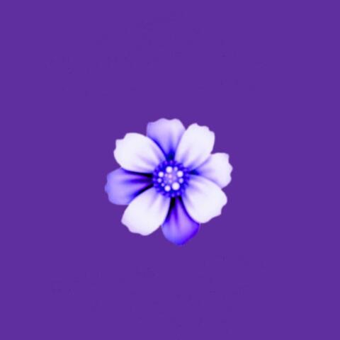 4 u