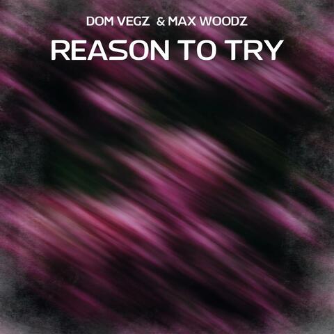 Reason To Try (feat. Max WoodZ)
