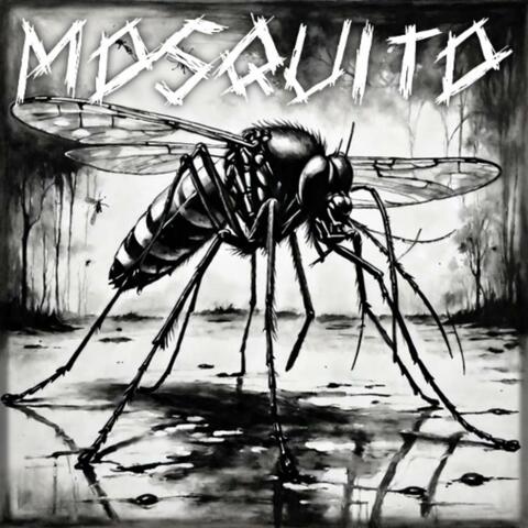 Mosquito