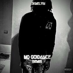 No Guidance